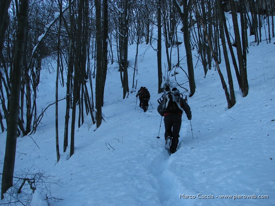 02_Si sale nel fitto bosco.JPG